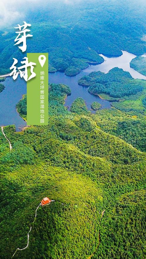 绿色名言，藏着怎样的智慧？-图2