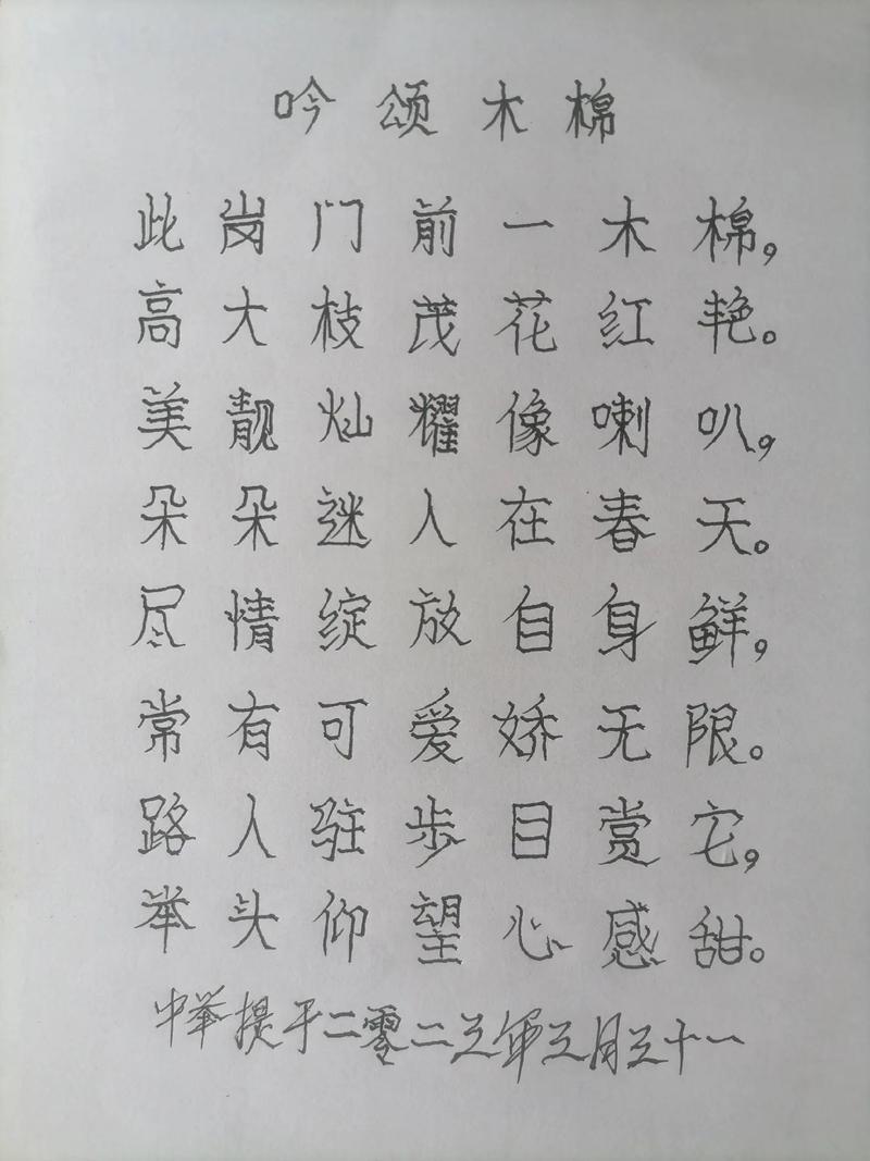 木棉诗魂何处寻？-图2