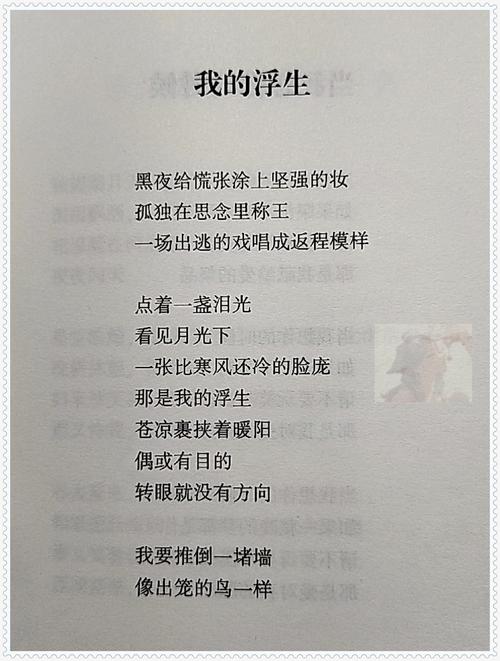 诗歌让我成为什么？-图1