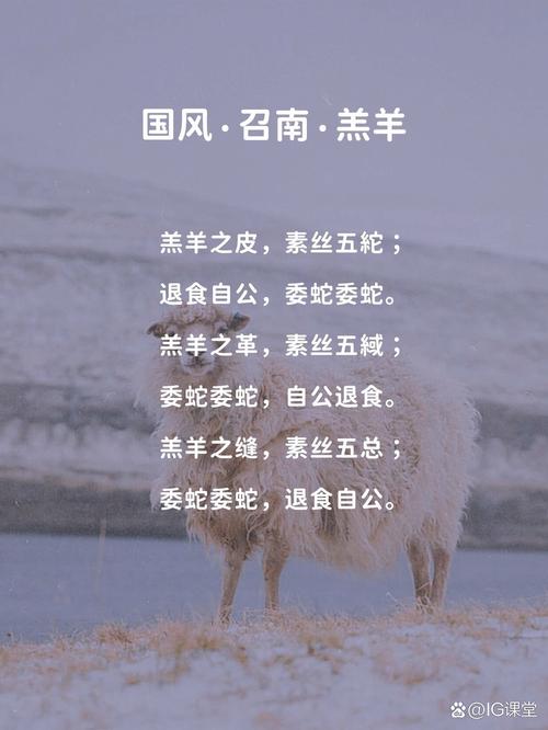 羊诗歌藏着怎样的灵魂？-图1