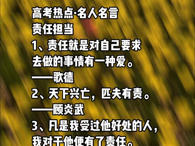 名言如何诠释责任？-图3