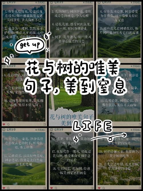 树的名言，藏着什么智慧？-图3