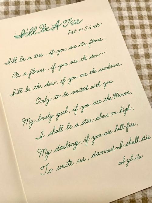 诗歌英文写法是什么？-图3