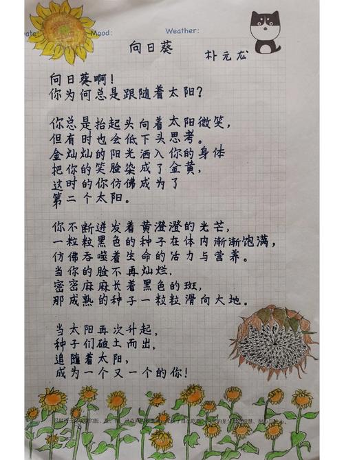 正能量现代诗歌-图2