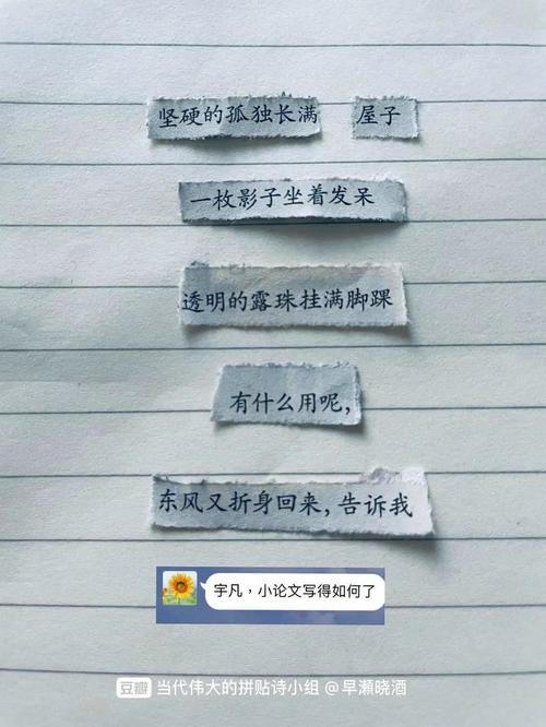 拾荒者为何写诗?-图2 拾荒者为何写诗?-图2