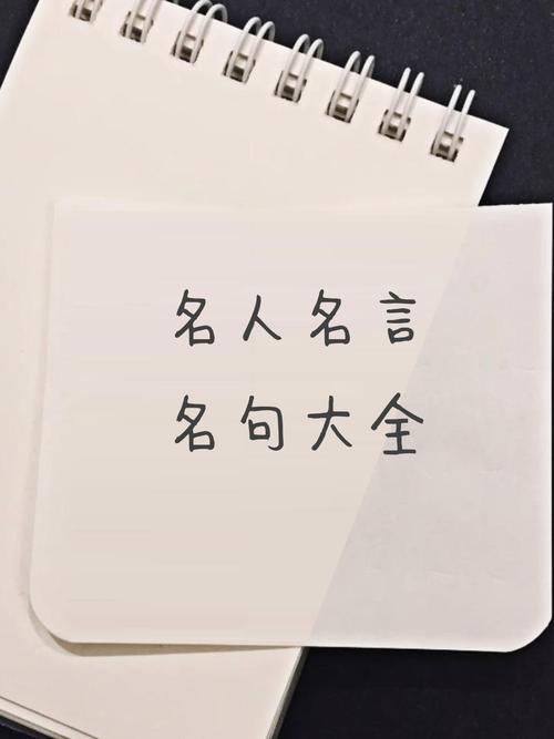 名言名词的深意是什么？-图1