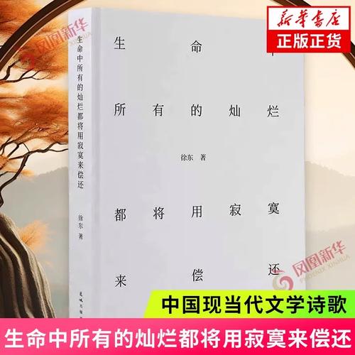 灿烂诗歌,何以为灿烂?-图2 灿烂诗歌,何以为灿烂?-图2