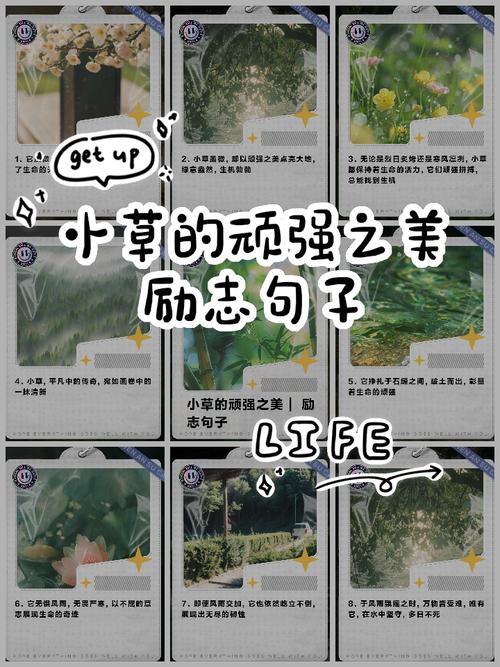 生命力名言，为何总令人震撼？-图1