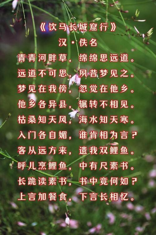 汉乐府诗有何独特魅力？-图1