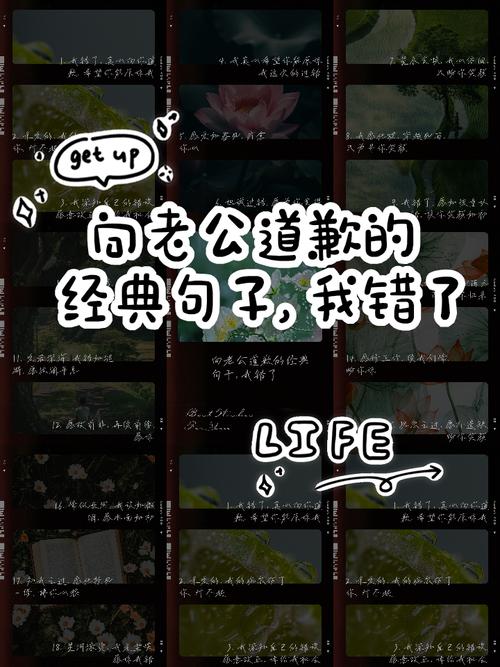 道歉名言，藏着怎样的智慧？-图2