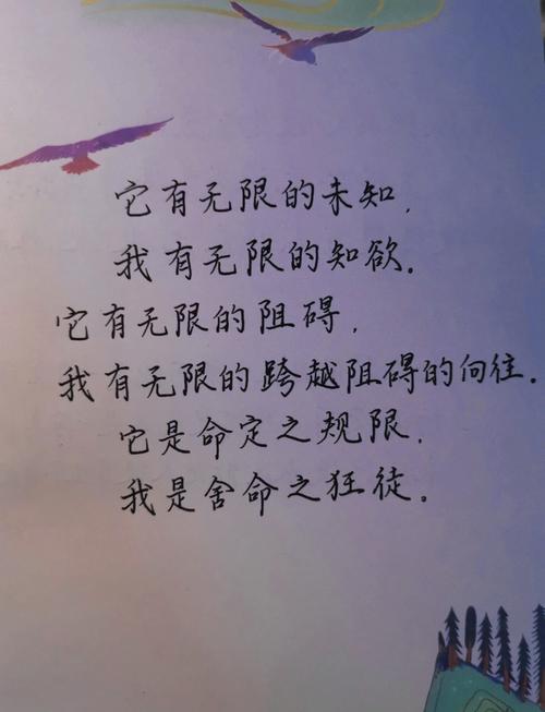 人生道理名言，如何真正读懂？-图1