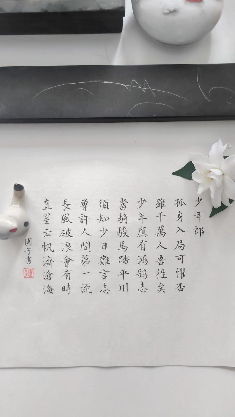 少年励志诗歌，如何用文字点燃青春梦想？-图3