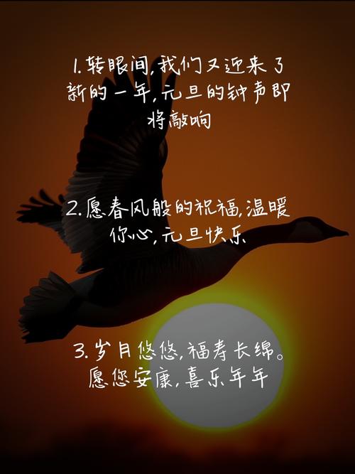 元旦的名言-图3