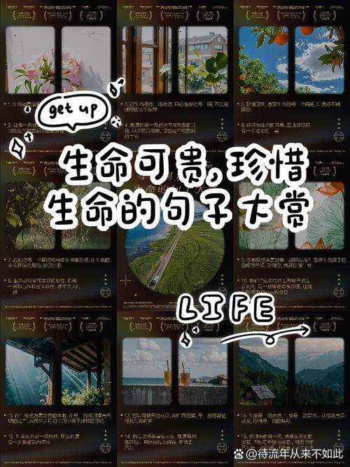 生命可贵的名言-图2