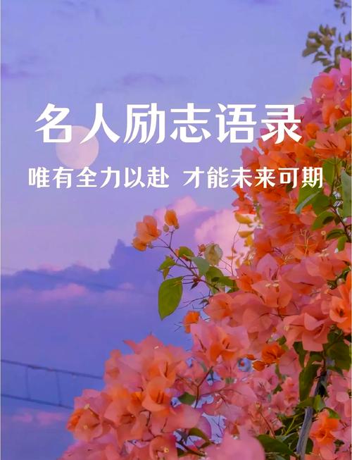 尽力名言，何为尽力真谛？-图1