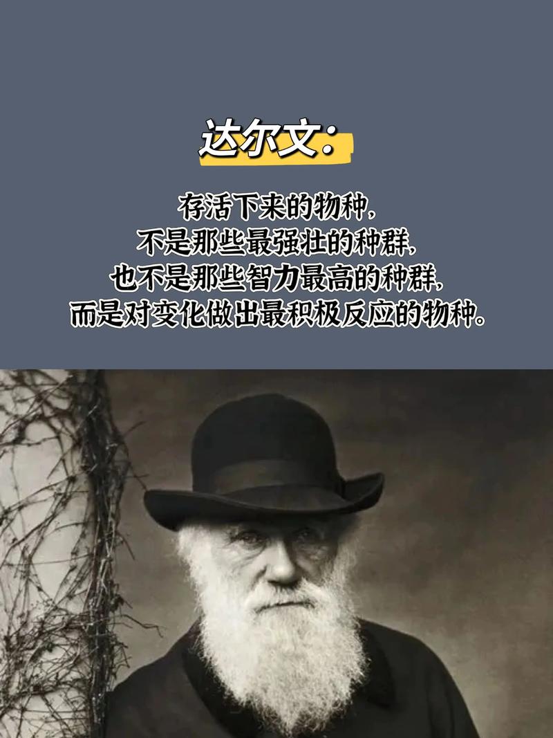 蒙森名言蕴含何深意？-图2