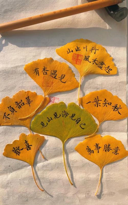 银杏叶里藏着怎样的诗意？-图3