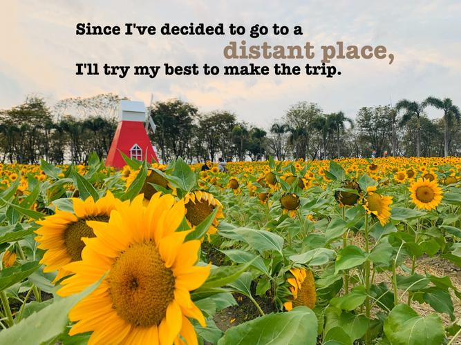 生命英文名言有何深意?-图3 生命英文名言有何深意?-图3