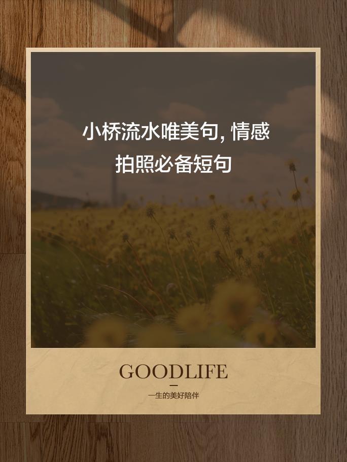 摄影名言藏着怎样的真谛？-图3