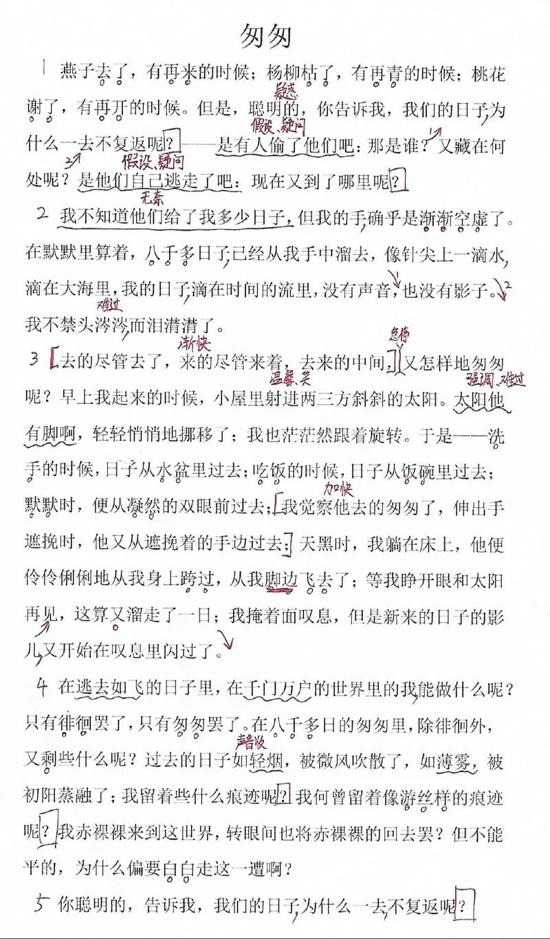 匆匆的诗歌，藏着怎样的时光？-图2