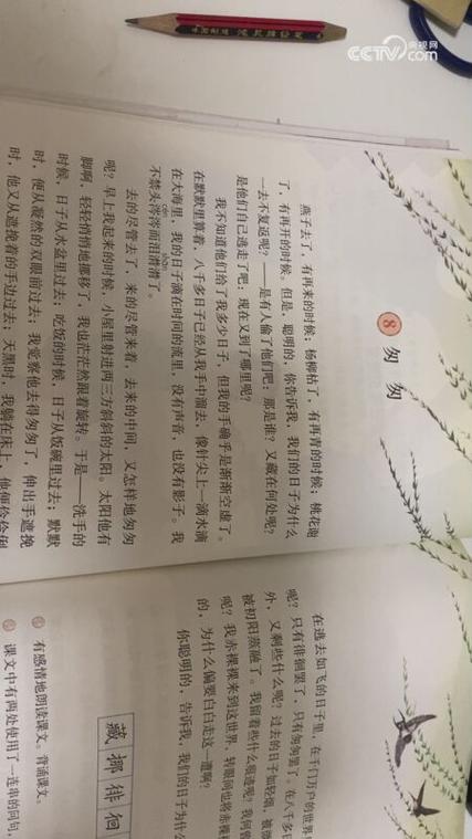 匆匆的诗歌，藏着怎样的时光？-图3