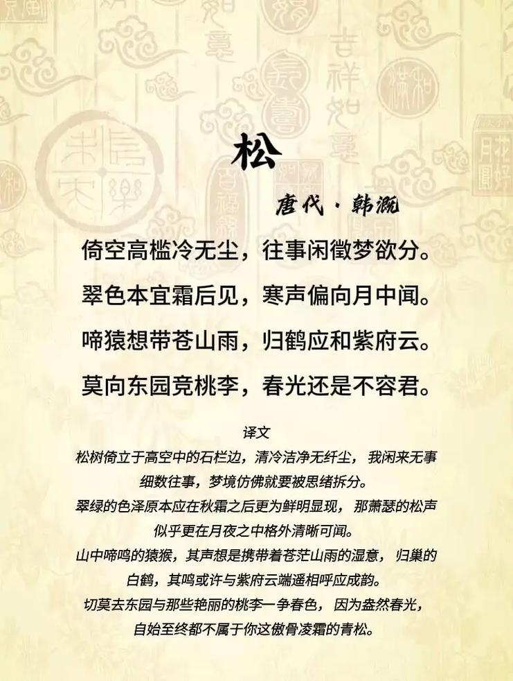 松树诗中藏何魂？-图2