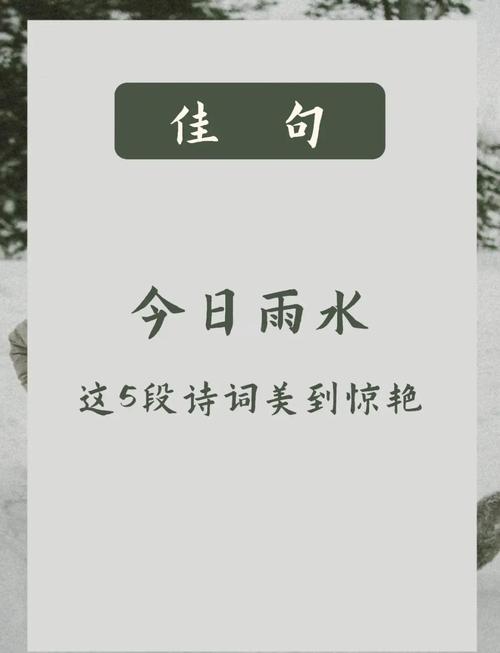 雨天诗中藏何情？-图1