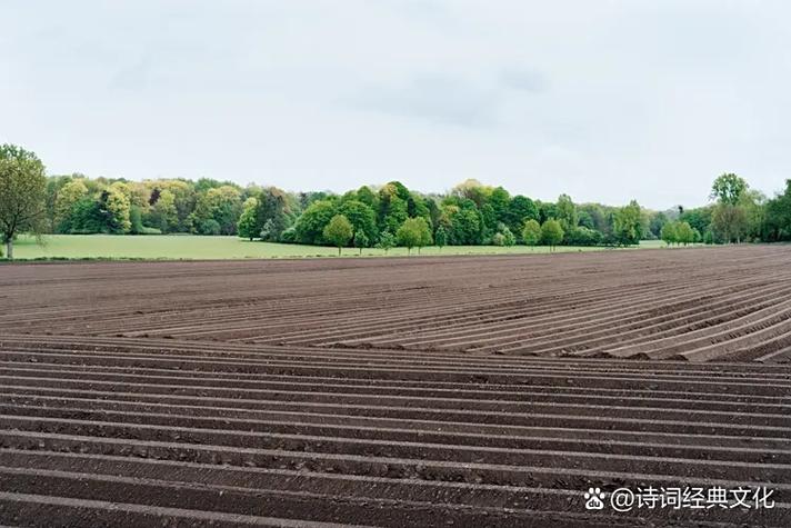 诗歌如何被批量生产?-图1 诗歌如何被批量生产?-图1