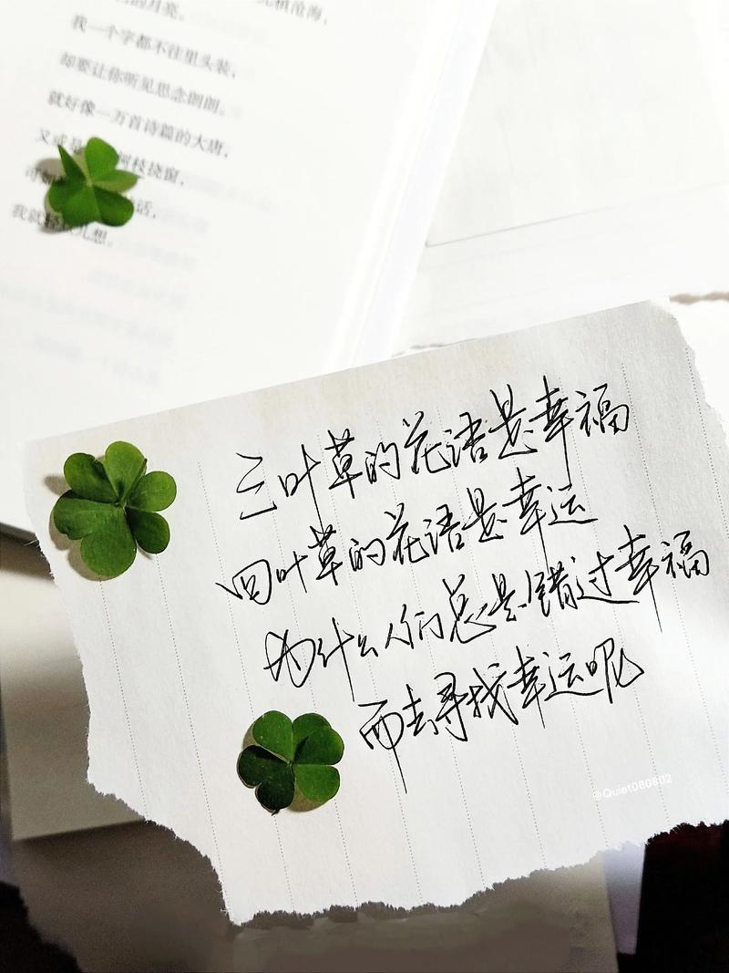 幸运名言，真能指引幸运吗？-图2