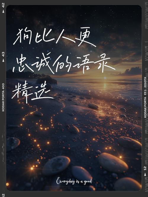 忠诚的名言警句-图1