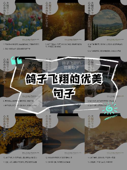 白鸽诗中藏着什么翅膀？-图1