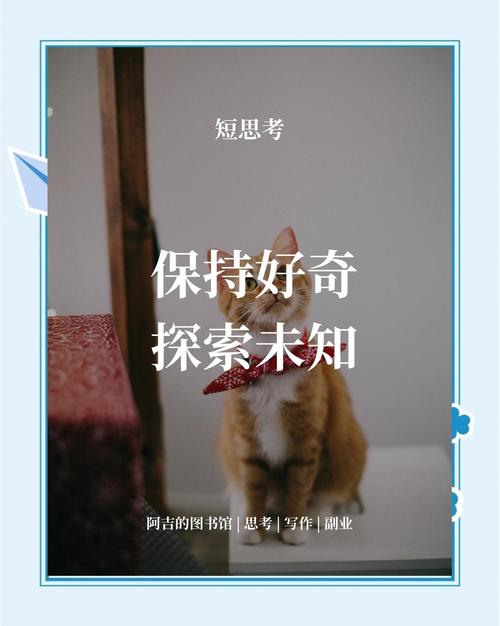 名言为何让人好奇？-图1