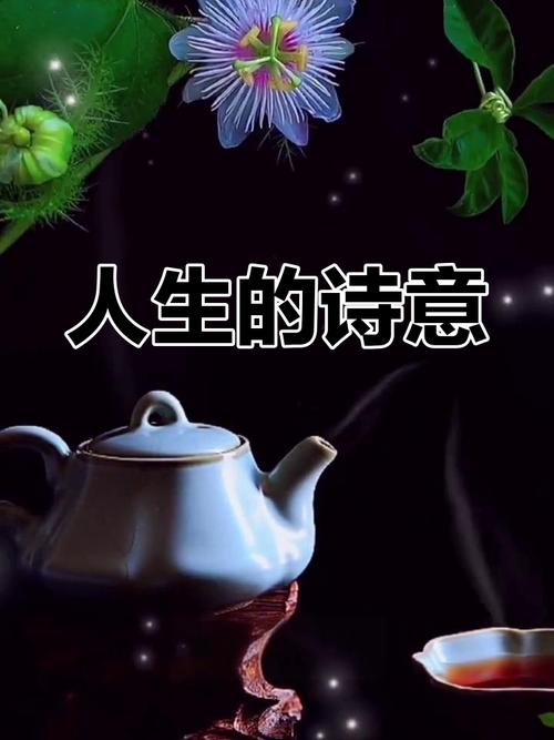 诗歌如何照亮人生？-图1