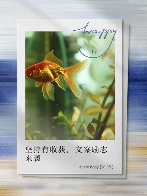 名言警句，收获何用？-图3