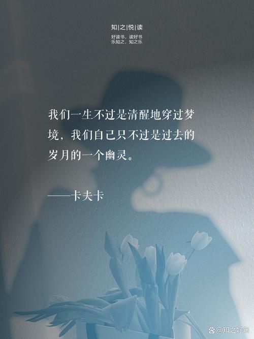 卡夫卡名言藏着什么人生密码？-图1