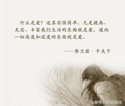 卡夫卡名言藏着什么人生密码？-图2