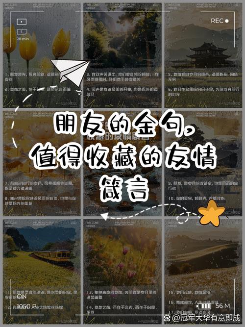 关于朋友友谊的名言-图1