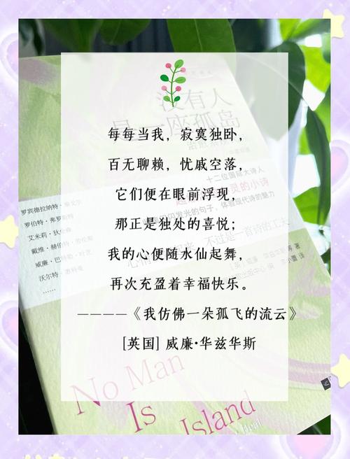 何为快乐的诗歌模样？-图3