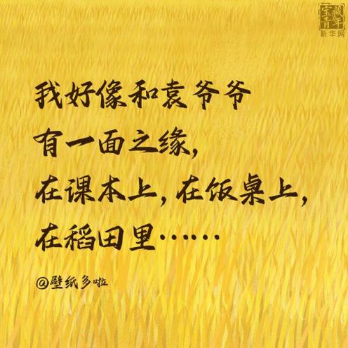 袁隆平名言有何深意？-图1