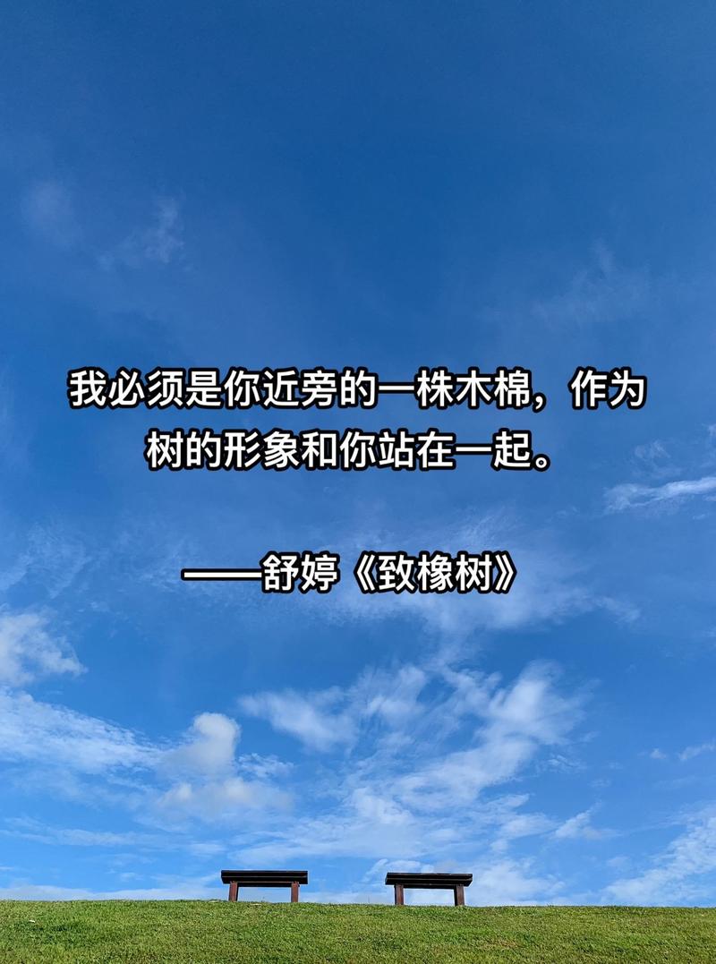 舒婷笔下的木棉花有何深意？-图3