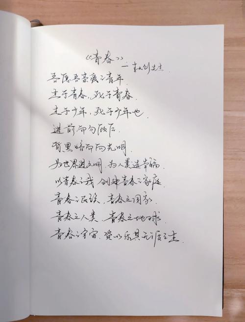 著名诗歌如何书写青春?-图2 著名诗歌如何书写青春?-图2