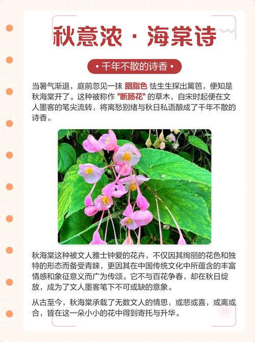 海棠诗中藏何情？-图1