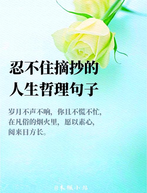 人生名言，藏着什么答案？-图2