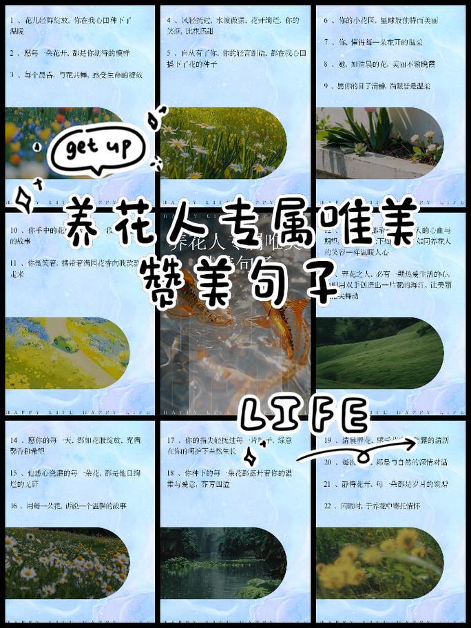 名言如何诠释绽放之美？-图3