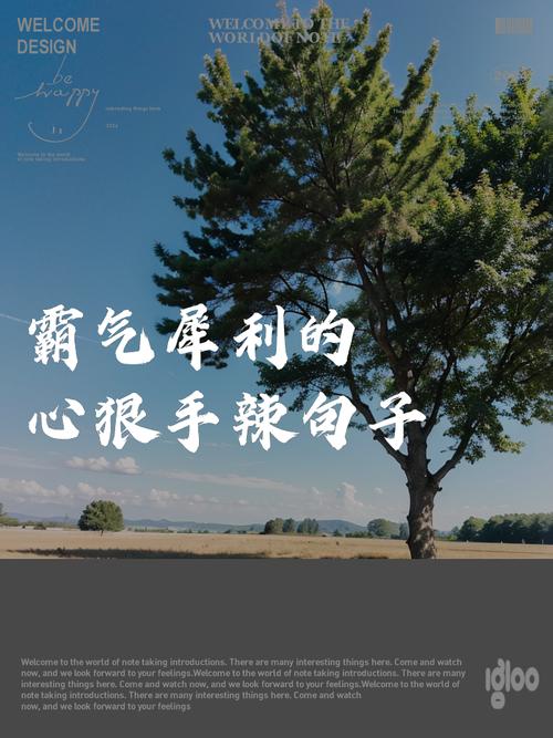 名言警句藏着怎样的野心智慧？-图1