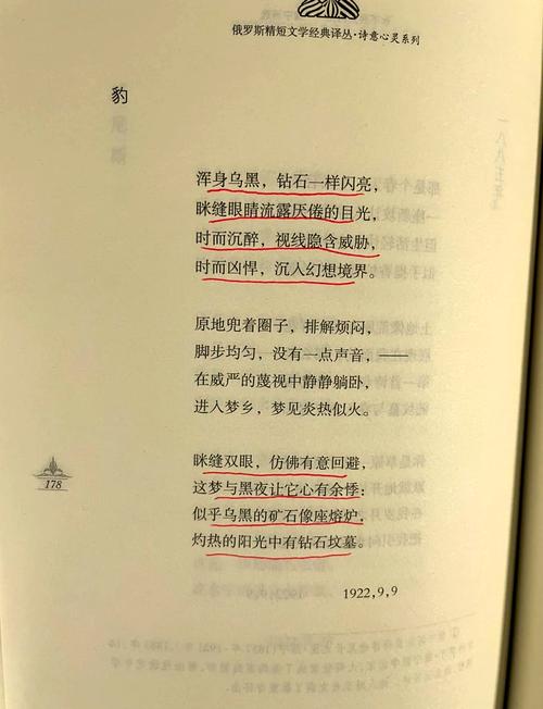 俄罗斯的诗歌，为何能穿越时空？-图1