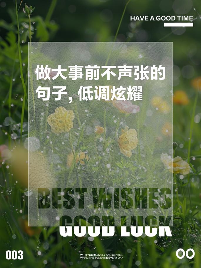 任性名言，何为任性真谛？-图3