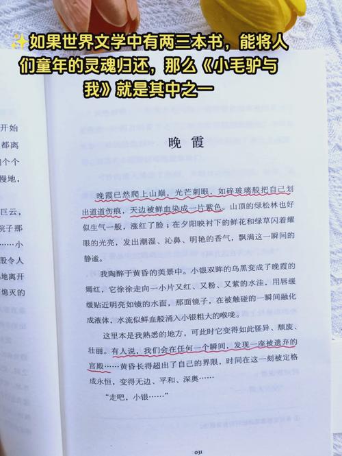 诗歌,如何回归本真?-图2 诗歌,如何回归本真?-图2