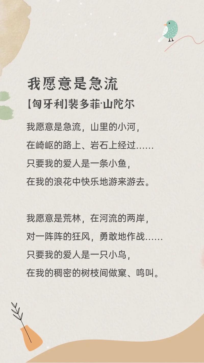 我愿的诗歌藏着什么心愿？-图3