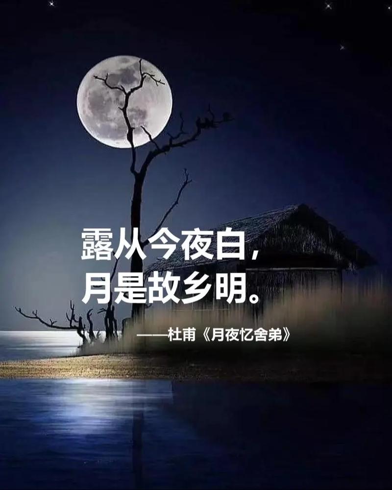 照片里藏着怎样的诗？-图1